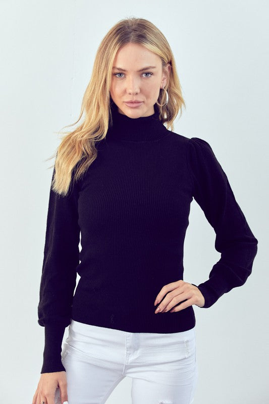 Perfect Combination Turtle Neck Sweater in Black - small
