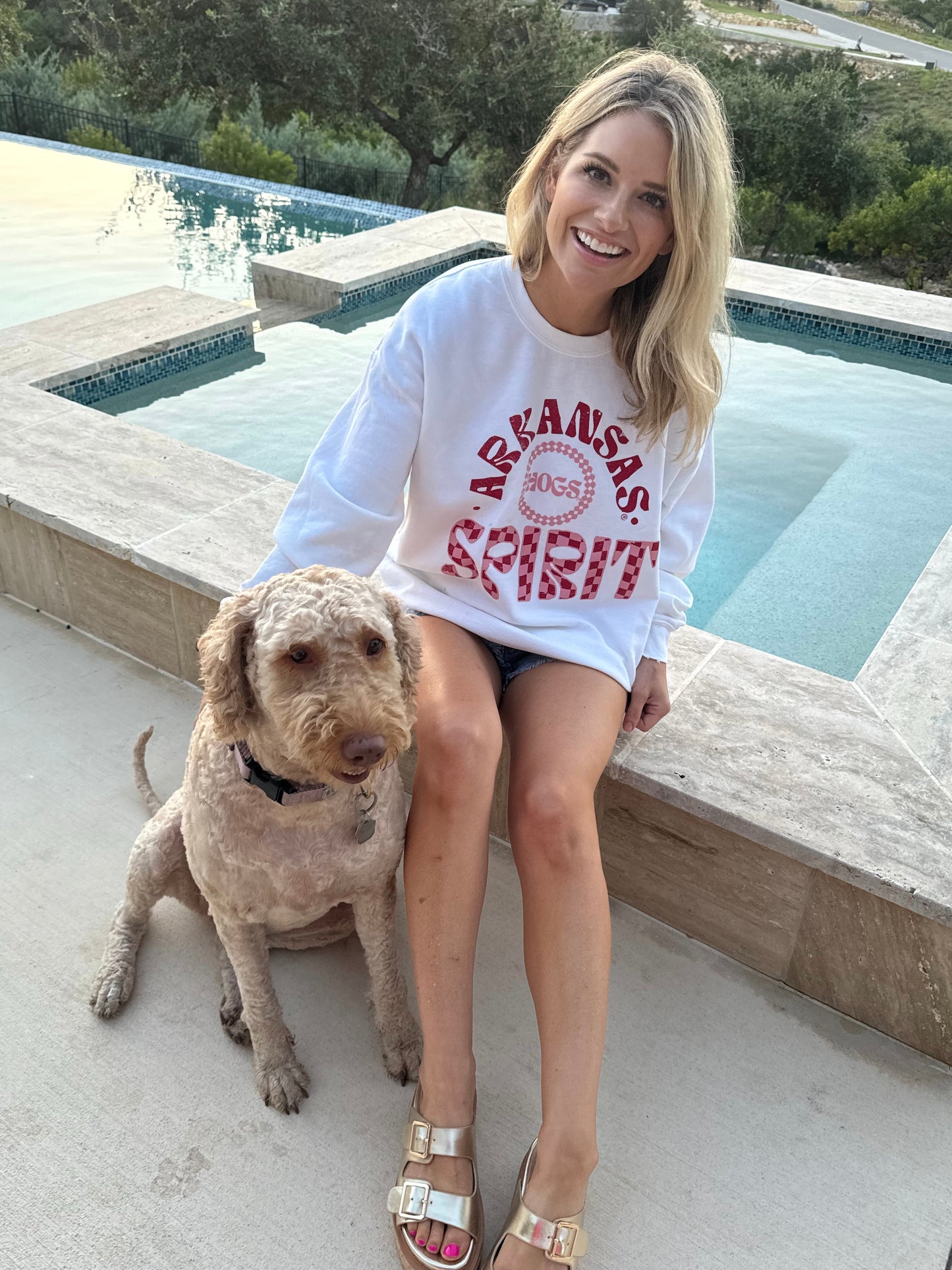 Arkansas Spirit Sweatshirt in White